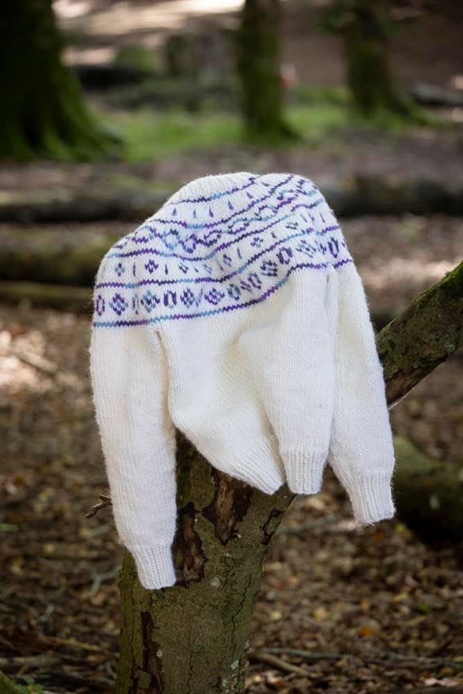 491653945_1237655515032357_8512860127883120412_n