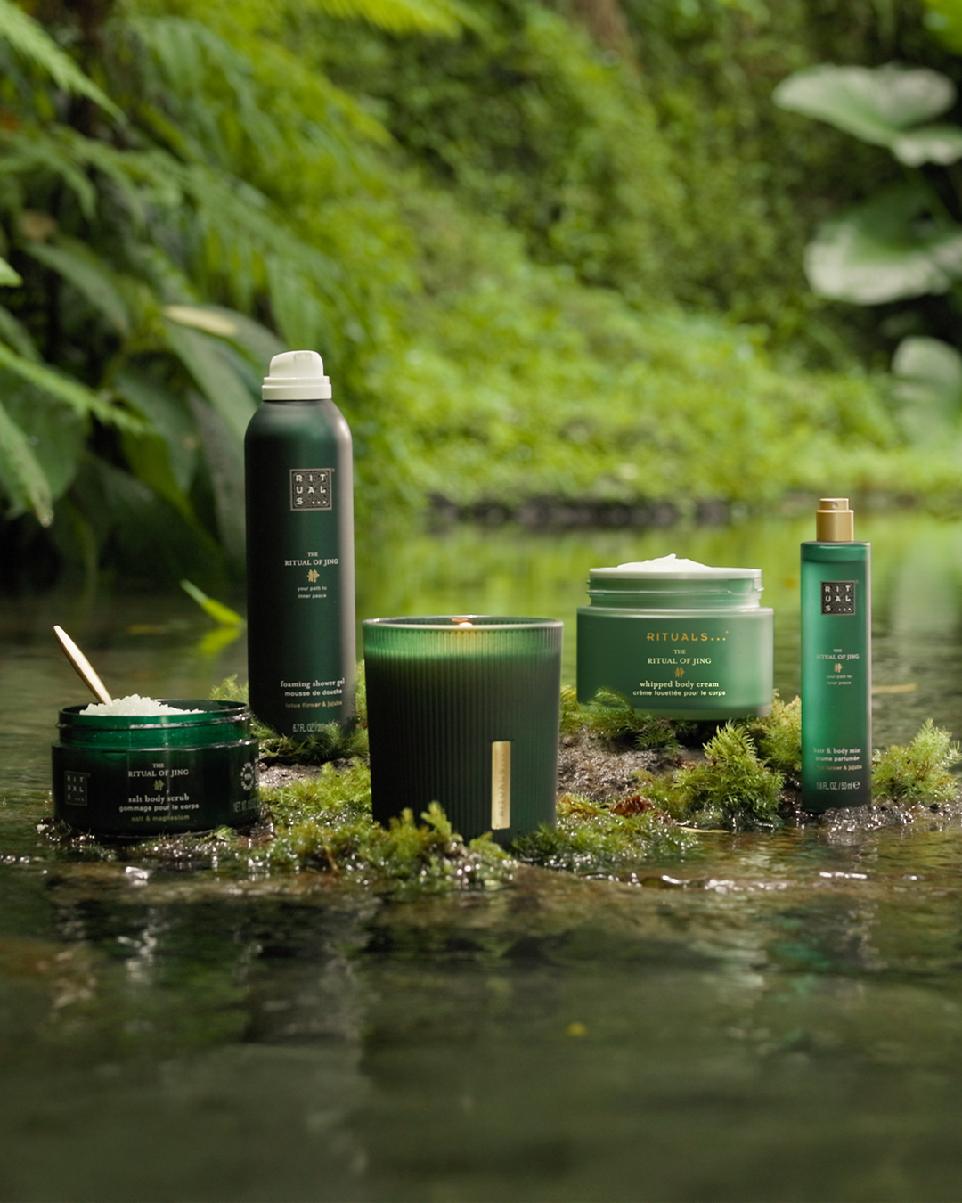 559065453_1135210318819931_4392403957057722082_n