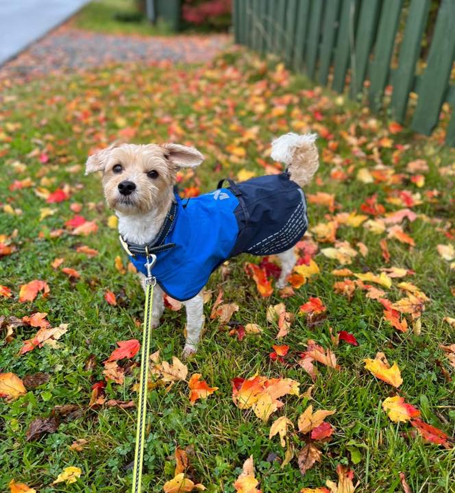 570806788_1304053948405599_2707626723775885616_n