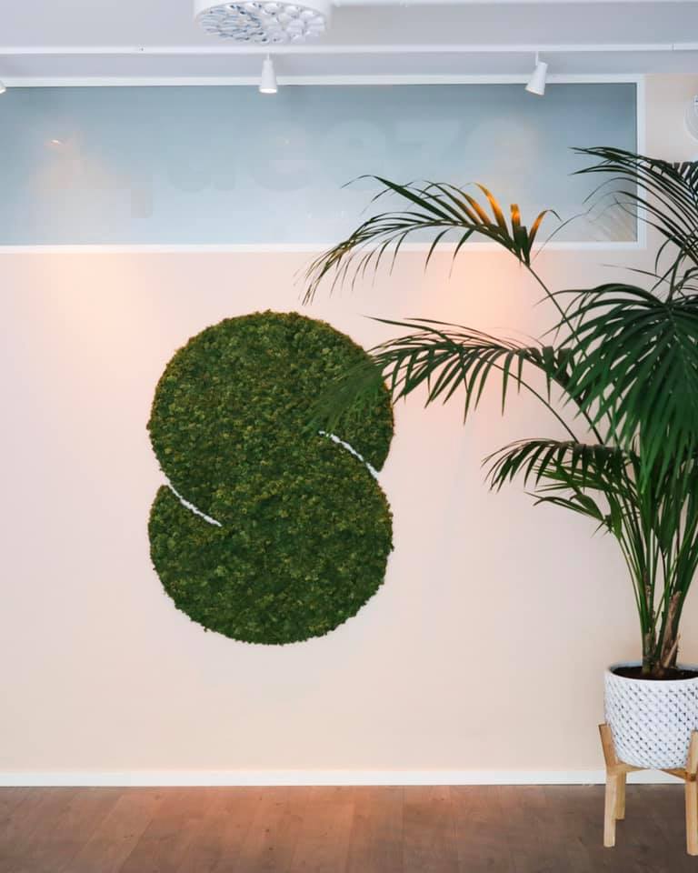 61984443_661271577649282_2743098498449670144_n